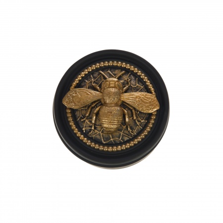 BOITE INSECTE NOIR