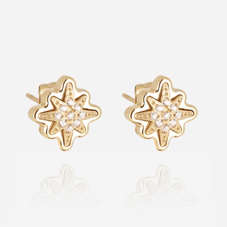 BOUCLE D\'OREILLE-Acilia-ACIER DORE-zirconium sertis