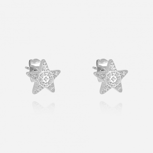 BOUCLE D\'OREILLE-Caelyne-ACIER-zirconium sertis