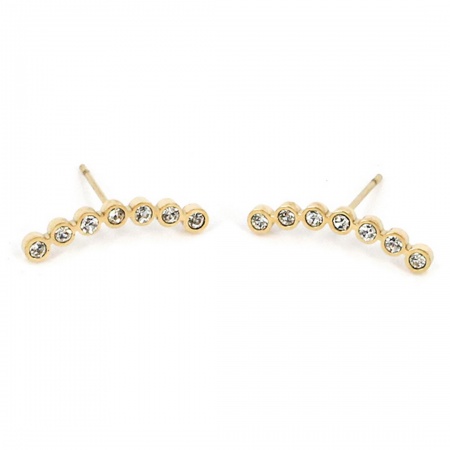 BOUCLE D\'OREILLE Pitt ACIER DORE zirconium L19mm