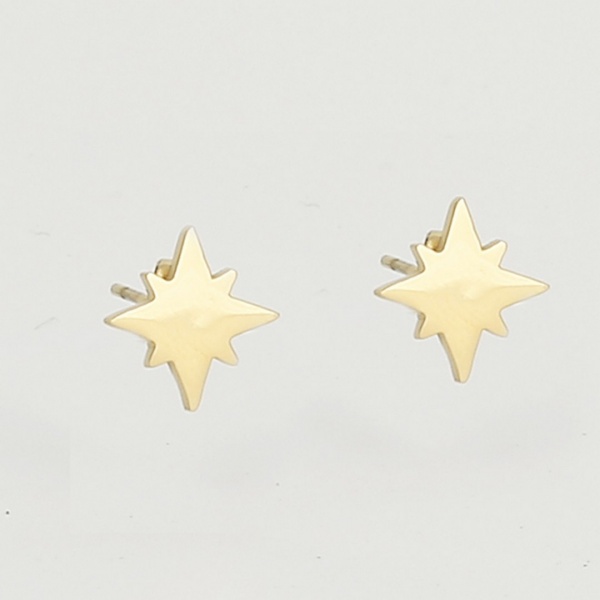 BOUCLES D OREILLES PUCE ACIER DORE UNI