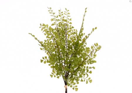 BOUQUET CAPILLAIRE X7 H44 VE