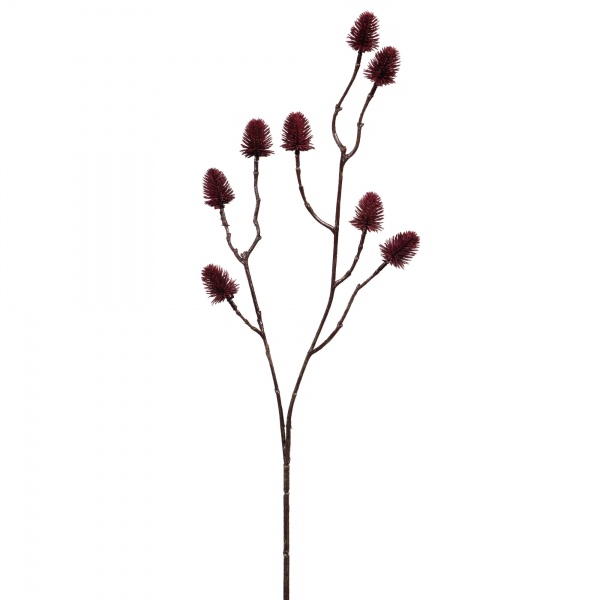BRANCHE RAMBOUTAN H68 BO