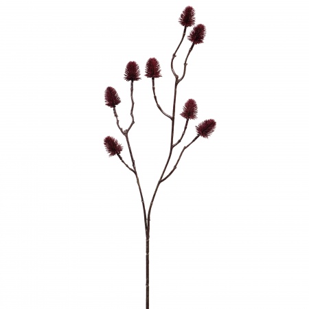 BRANCHE RAMBOUTAN H68 BO