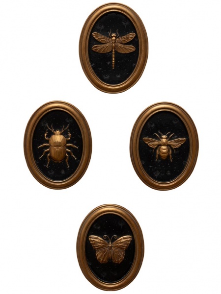 cadres insectes Entomologie