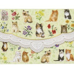 Carte & enveloppe KITTENS NC2371