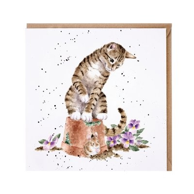 Carte de voeux - Chat - hide and squeak