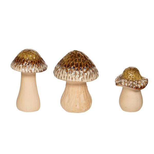 CHAMPIGNONS MOUSSE