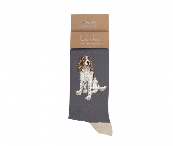 Chaussettes pour home - Epagneul Willow