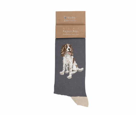 Chaussettes pour home - Epagneul Willow