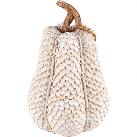 Citrouille haut blanc et marron