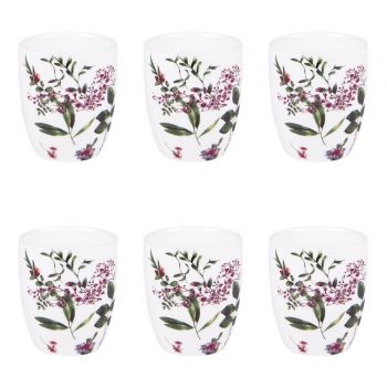 Coffret 6 gobelet de la collection \ CHAMPETRE\  D6H7