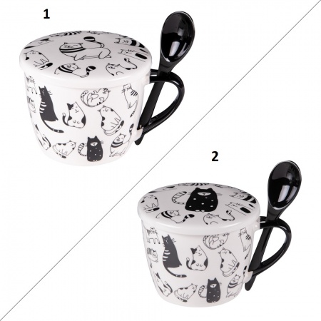 COFFRET BOL SOUPE FRIENDS 75cl ASS2