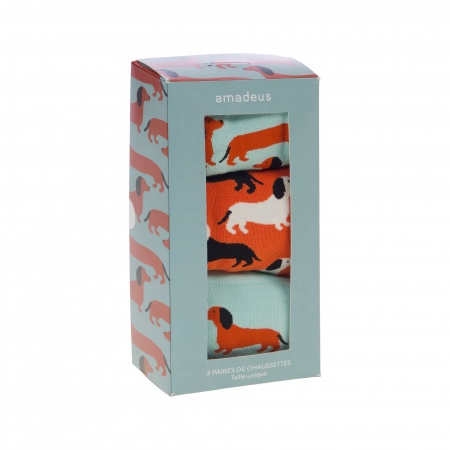 COFFRET CHAUSSETTE TEKEL 3PAI