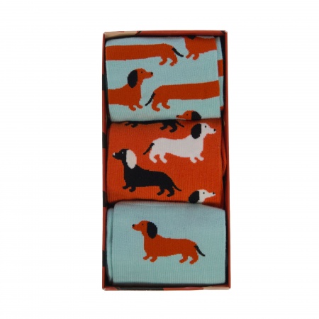 COFFRET CHAUSSETTE TEKEL 3PAI