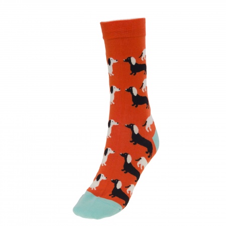 COFFRET CHAUSSETTE TEKEL 3PAI