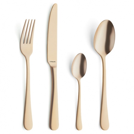 COFFRET COUVERTS 24 PIECES TRENDY DORE