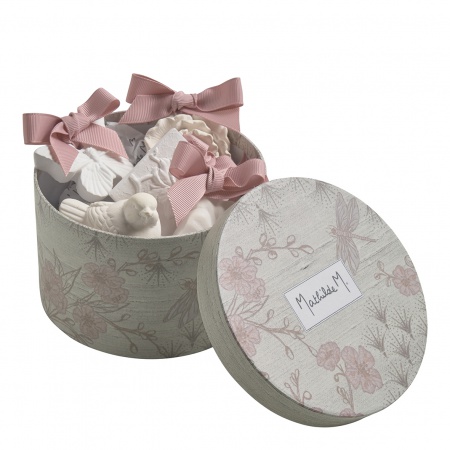 Coffret de 5 plâtres parfumés \ Fleur de thé\ 
