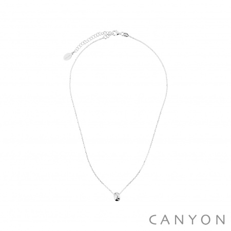 Collier en Argent ANNEAU