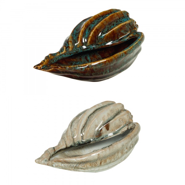 COQUILLAGE  NAUTILUS 