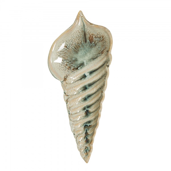 COUPELLE COQUILLAGE EMAILLEE