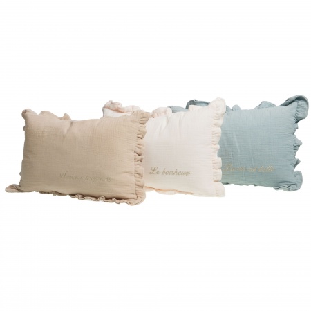 COUSSIN MESSAGE VOLANT \ AMOUR\ 