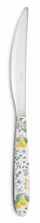COUTEAU ACIER INOXYDABLE 18Cr AVEC POIGNEE DECOREE FLEURS ET CITRONS