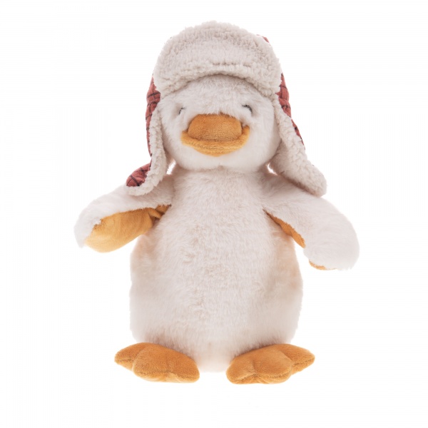 EDOUARD LE CANARD