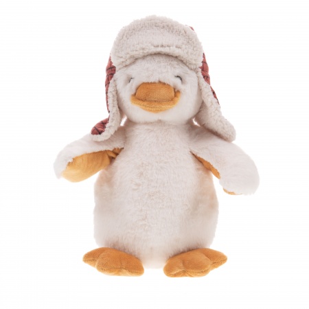 EDOUARD LE CANARD