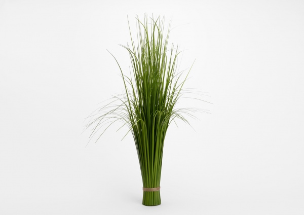 Fagot d\'herbes