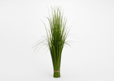 Fagot d\'herbes