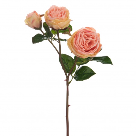 Fleur : 1 tige de  3 Roses Valencia Reality H53