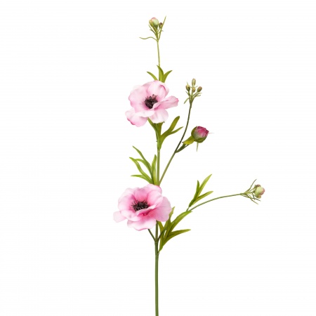 FLEUR - RENONCULE PAPILLON H61CM RS     