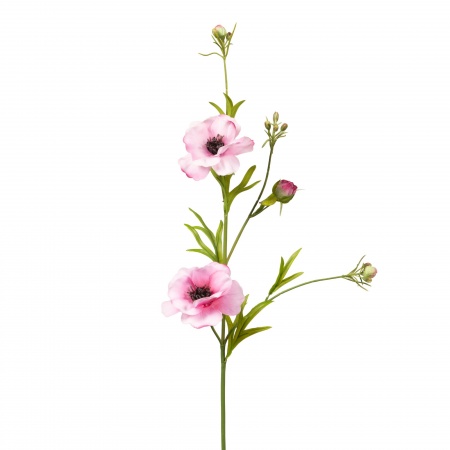 FLEUR - RENONCULE PAPILLON H61CM RS     