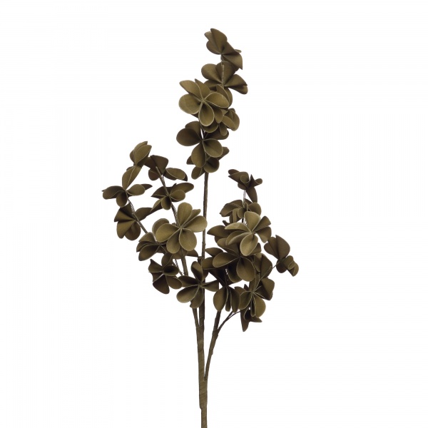 FLEUR ALMA H89 KAKI