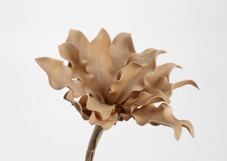 FLEUR CUMBIA DORE H54