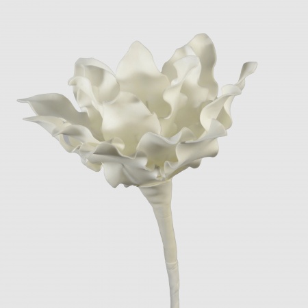 FLEUR CUMBIA H53 BC
