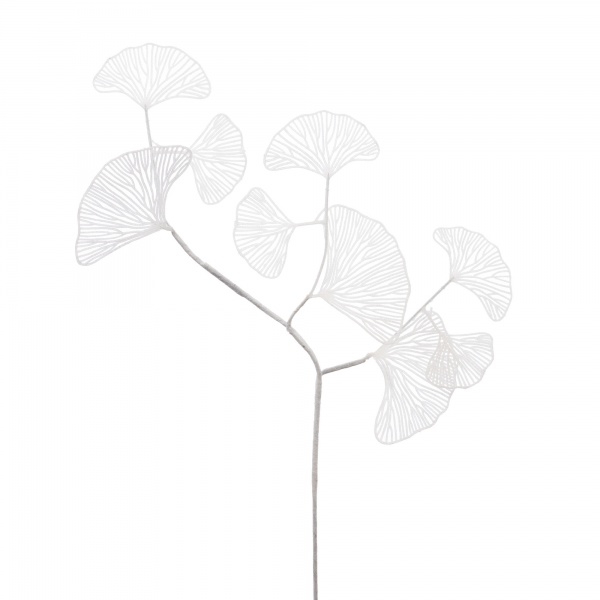 GINKGO FETE H76CM BC