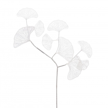 GINKGO FETE H76CM BC