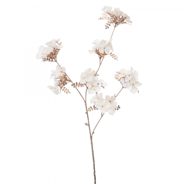 HORTENSIA FETE  H84 BC/OR
