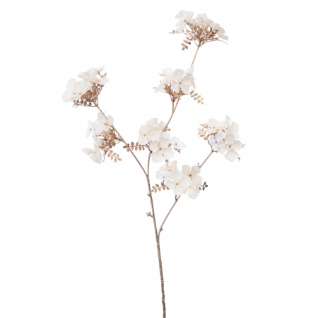 HORTENSIA FETE  H84 BC/OR