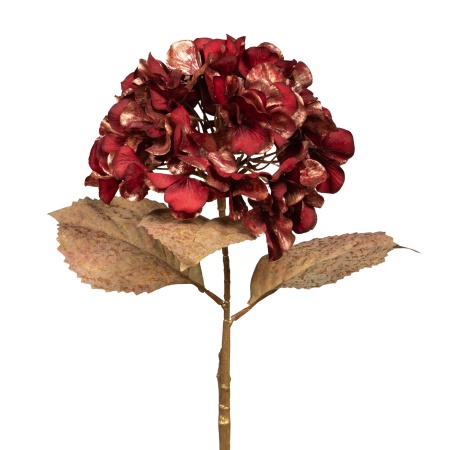 HORTENSIA METALIC H64 BO/OR