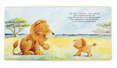 Livre Rory Le Courageux Petit Lion