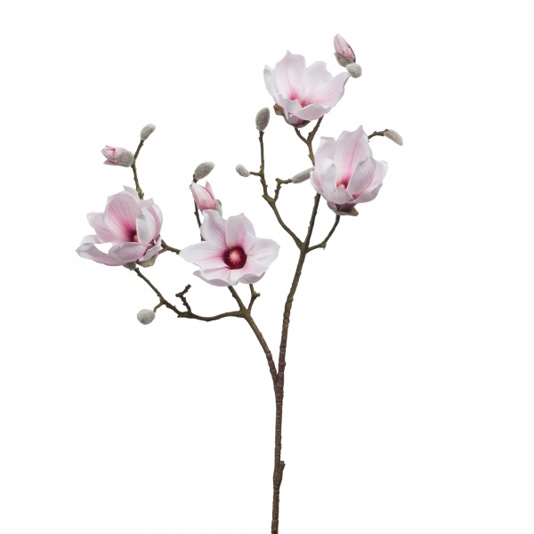 MAGNOLIA  H96 RS