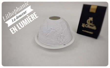 Photophore Lithophanie Porcelaine Colibris