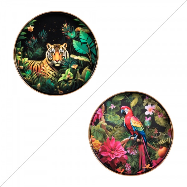 PLATEAU ROND - JUNGLE