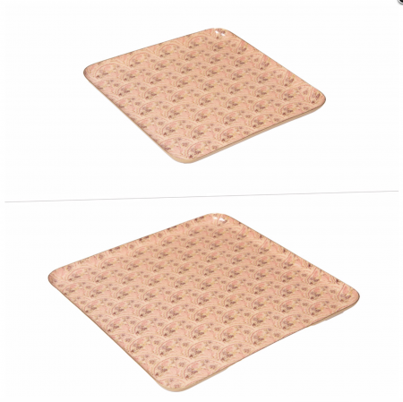 PLATEAUX CARRES - JAIPUR