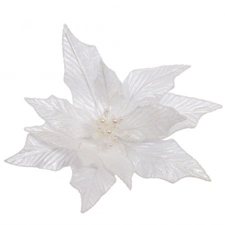 POINSETTIA PERLE CLIP D26