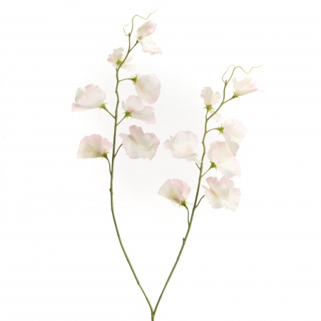 POIS DE SENTEUR géant rose pâle/crème