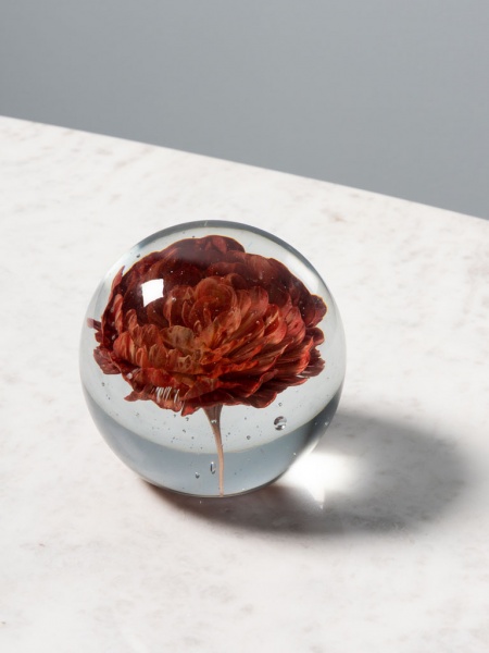 Presse papier fleur rouge